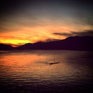 Meet your Posher, Brielle